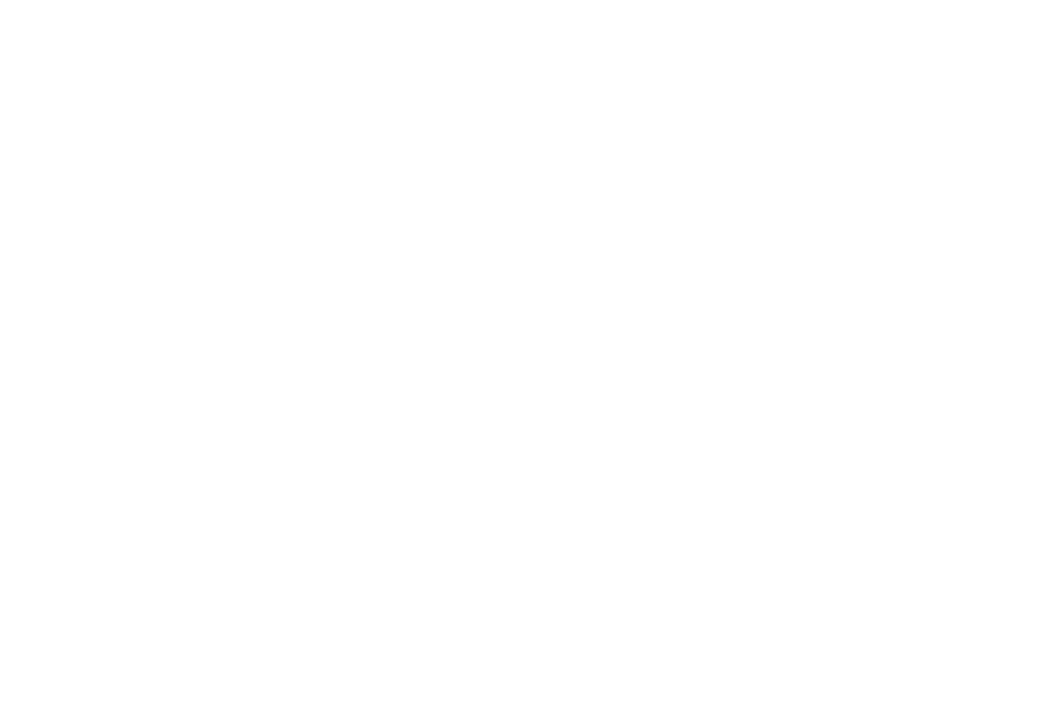 OCTAVIUM logo